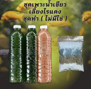 ชุดเพาะน้ำเขียวและปุ๋ย 2 ซอง สูตร40-60ลิตร  อาหารไรแดง หัวเชื้อน้ำเขียวสาหร่ายคอลเรล่า ไรแดงมาโคร ไรแดง ชุดเพาะไรแดง