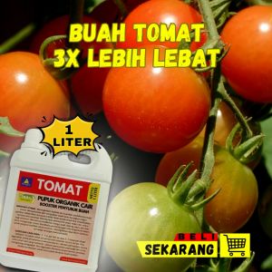 Pupuk Tomat Berbuah Lebat / Pupuk Tomat Booster Pelebat Buah / Pupuk Cair Super Pembesar Buah Tomat