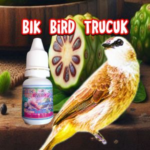 Jogjrog Gacor Ropel. BIK Bird Trucuk Racikan Alami. Suplemen Alami Penggacor Burung Trucukan.