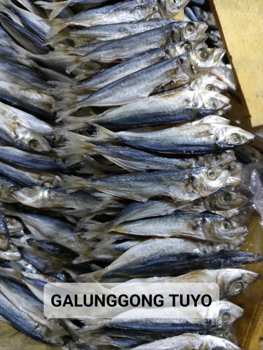 DRIED GALUNGGONG TUYO | VACUUM SEALED| DRIED FISH | 100G To 1KG | Lazada PH