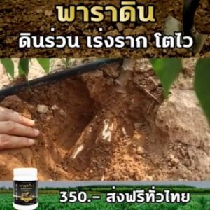 พาราดินสารอินทรีย์แท้ ดินร่วนซูย แก้ปัญหาดินเสีย 500 กรัม