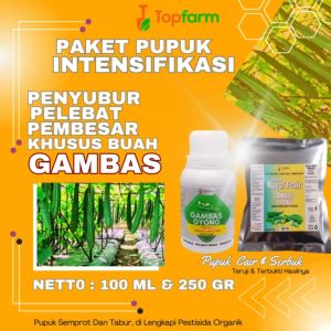 Pupuk Pelebat Buah Oyong / Pupuk Booster Oyong / Pupuk Buat Oyong Emes / Pupuk Cair Pelebat Oyong / Pupuk Gambas Oyong