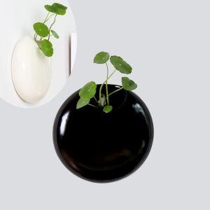 Living Room Wall Hydroponic Flowerpot Ceramic Wall Hanging Creative Balcony Hanging Basin Green Radish Hanging Water Flowerpot Decoration