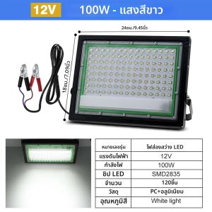 ไฟส่องสว่างกลางแจ้ง LED 50W/100W พร้อมแสงสีขาว/แสงอุ่น/RGB พร้อมสวิตช์ปลั๊ก EU 220V