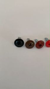 สกรูปลายสว่านหัวร่ม 1/2 ยิงแผ่น ระแนงรั้วยึดกับเหล็ก ห่อละ 100 ตัว มีทั้งหมด 19 สี สกรูหัวเห็ด สกรูหัวกระดูม สุขสุดสำหรับการผ่าตัดในการเคลื่อนทีมกันที่น่ารัก