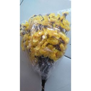 Sakura impor harga perlusin ( 12 tangkai )       * 1 kg muat 10  Lusin