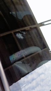 Auto Dazzling Bug Remover Pembersih Jamur Kacamata Kaca Mobil Car Care Waterspot