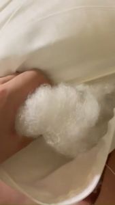 ( GIÁ TẠI XƯỞNG ) RUỘT GỐI ÔM cao cấp