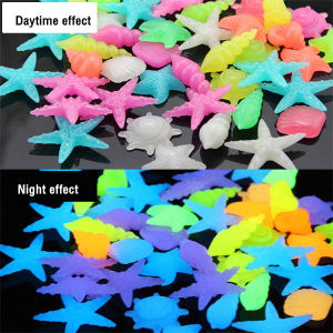 Colorful Luminous Stones Starfish Conch Shaped For Aquarium Walkways Garden Decorative 2-3cm