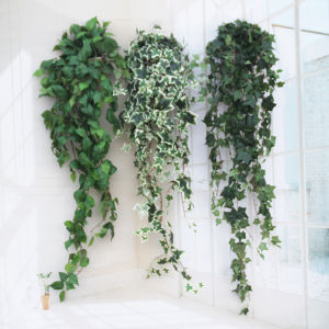 Artificial Ivy Plant Wall Green Radish Indoor and Outdoor Chlorophytum Wall Hanging Flower Rattan Decorative Greenery Vine Leaves