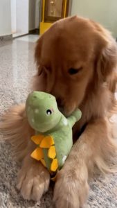 FuzzYard Dinosaurs Plush Dog Toys with Floppy Limbs & Squeakers | 3 Fun Dino Designs