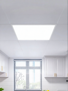 FSL | Ceiling Integrated LED Panel Light 600x600mm