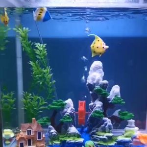 Tiểu Cảnh Núi Tuyết Hòn Non Bộ - Cối Xay Nước Trang Trí Bể Cá Chất Liệu Resin - Phụ Kiện Trang Trí Bể Cá Nhiều Kích Thước Lựa Chọn