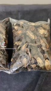 QUẢ NHÀU XUẤT KHẨU 1KG