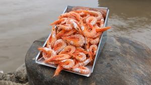 Tôm đất khô nguyên vỏ Cà Mau - Sản phẩm làm quà biếu- ĐẶC SẢN MINH TRIẾT