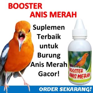 Booster Anis Merah 60 ml / Suplemen burung anis merah / Burung anis merah gacor / Nutrisi burung anis / Perawatan burung anis merah / Suplemen untuk burung gacor / Suplemen nutrisi terbaik untuk burung anis merah agar cepat gacor