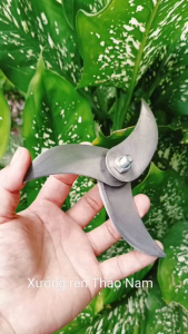 Lưỡi Dao xay thịt 3 cánh - 2 cánh dàn cho máy xay thịt 750w-900w thép không rỉ sắc bén