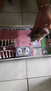 Mainan monopoly 5 in 1 (Besar) - Mainan edukasi monopoli - Catur- Ular tangga - Halma - Ludo