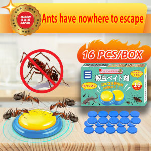 【Kill an entire nest】 ECeta Ubat semut Ant killer Ubat semut berkesan Get rid of ant harassment and efficiently kill. Racun semut berkesan Ant bait 螞蟻藥 蚂蚁药