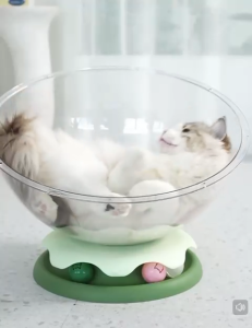 2 in 1 Space Capsule Cat Bed Cat Nest Bed with Track Balls Toy Pet Bed Cat Nest Bed Cat House Sleeping Bed