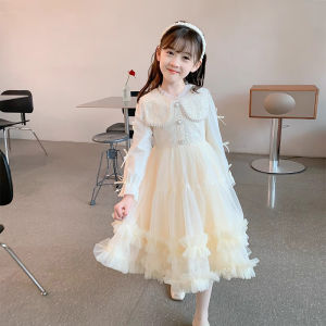 Girl Dress Autumn and Winter Little Girl Fashionable Stylish Fancy Princess Dress Kids Long Sleeves Mesh Bubble Skirt