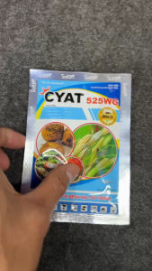 CYAT 525WG (Azoxystrobin + Trifloxystrobin + Cyproconazole) – Hỗ Trợ Kiểm Soát Vết Đốm Lá Cháy Giữ Lá Ớt Xanh Khỏe – Gói 10g