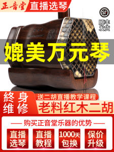 Professional Erhu Instrument Zhenyintang Old Rosewood Large Volume Performance Suitable for Exams Six-Sided Shell Shape