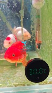 HappyFishLife External Aquarium Digital Thermometer