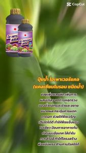 สำคัญของ ปูเพื่อนไฮ์เวอร์แคล (ช่วยลดการหลุดร่วง-ผลร่วง) ขนาด 1 ลิตร ดวงตะวันเพชร