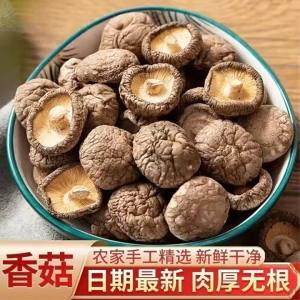 Fleshy and Rootless Fresh Tender Dried Shitake Mushrooms