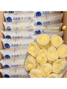Lactic Acid Bacteria Flavored Pocket Bread Healthy Snack