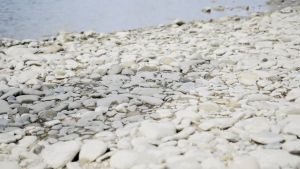 เครื่องกําเนิดไฟฟ้า 140400mAh 500W ความจุขนาดใหญ่กลาง เพื่อผ่านการค้า ครอบครัว P60 Power Box เมื่อผ่านการค้า ครอบครัว ความจุขนาดใหญ่ขึ้นเรียบกับผลลัพธ์ที่ต้องการ