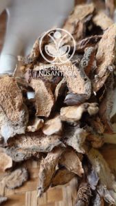 Akar Nampu Kering Tua 1kg Asli - Cariyang Grade A
