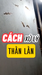 2 Chai Xịt Thằn Lằn Thạch Sùng Vim Nano 500ml Mùi Hương Dễ Chịu Xuất Xứ Thảo Mộc - Xua Đuổi Muỗi Gián Thạch Sùng