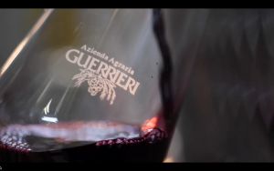 Azienda Agraria Guerrieri Guerriero Bianco 2019 750ml 14% Italy Mache White Wine