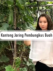 Fruitex pembungkus buah reusable FA