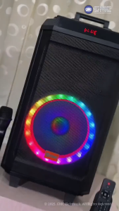 GMC Speaker 883K – Bluetooth Karaoke Speaker 10" – 200W USB SD AV In FM Radio Karaoke Jack Wireless Mic Support