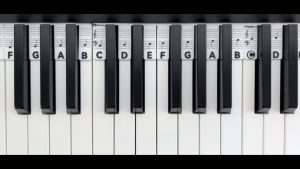 Silicone Piano Notes Guide 88 Keys Piano Key Sticker for Beginner