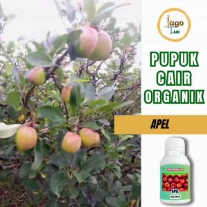 Pupuk Organik Cair Khusus Buah Apel 100 Ml Tingkatkan Kualitas Kuantitas Buah By Jagotani Yogyakarta