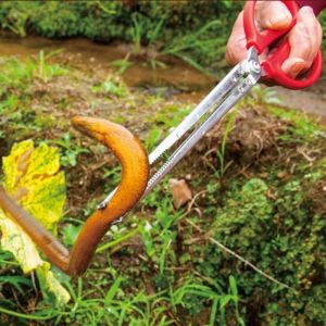 Gunting Capit Belut Kepiting: Alat Penangkap Ikan Tradisional