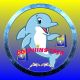 Dolphins Jaya