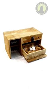 SEMPATI Glodok Sarang Tempat Bertelur Burung Kenari Kaca Kayu Jati GLOKENJ