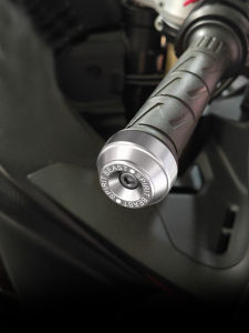 Stainless Steel Motorcycle Handlebar Ends Modification Spirit Beast Anti-Fall Balance Terminal Suitable for 450SR And AE5i