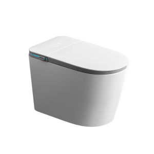 TEM | Smart Automatic Toilet with Foam Shield