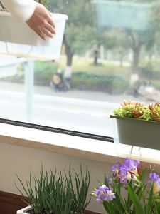 Nordic Style Long Rectangular Plastic Flower Planter Box 43CM Panjang Tanaman Sayur Bunga Planting Kotak With Base 花盆