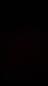 New Arrival!!! Sepatu High Heels Import Wanita (Y) Vanessa Rose WY8001 Import Sepatu Kerja Kulit Sepatu Pesta Kekinian (+Box) Import