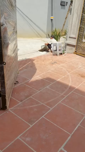 Motor cửa tự động bánh lăn Ossden K690 400kg/cánh Cảm Biến An Toàn Cho Cửa Tự Động Motor Cửa Tự Động Bảo Hành Tại Việt Nam - Lazada