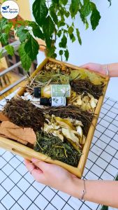 Lá xông thảo dược 1 set (Lá xông hơi giải cảm tăng sức đề kháng phục hồi sức khỏe) - Thảo Dược Hạnh Nguyên