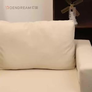 DENGJIAN | Smart Ceiling Light