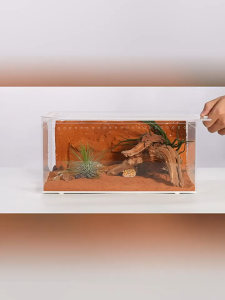 Acrylic Reptile Cage Insect Breeding Box Transparent Hatching Container Feeding Box Small Reptile